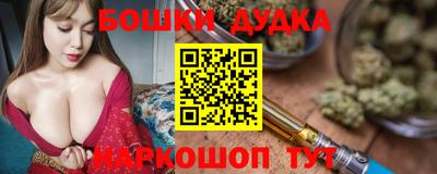 МДПВ Сланцы