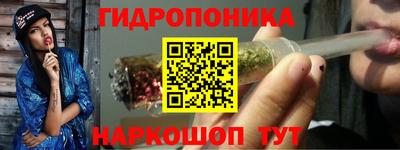МДПВ Сланцы