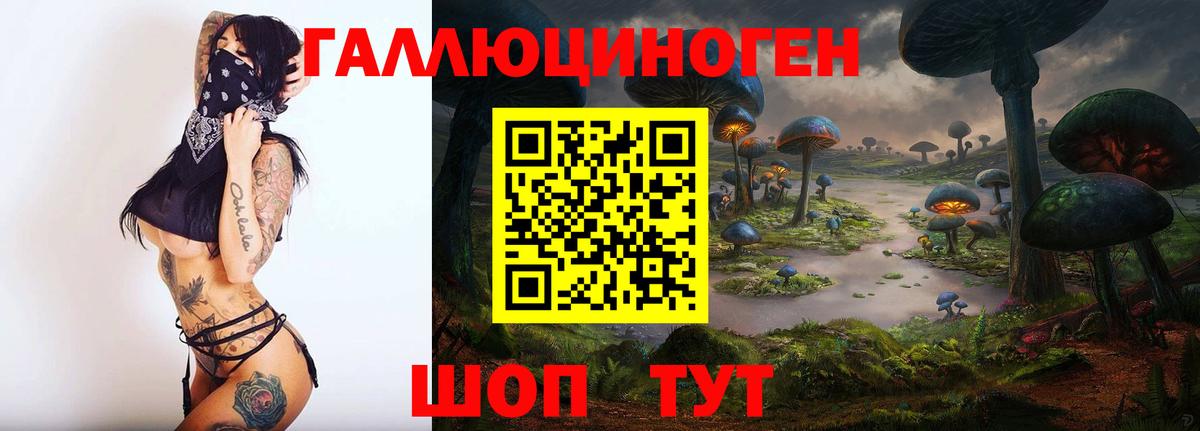 Прокопьевск  Галлюциногенные грибы MAGIC MUSHROOMS  Вход с VPN 